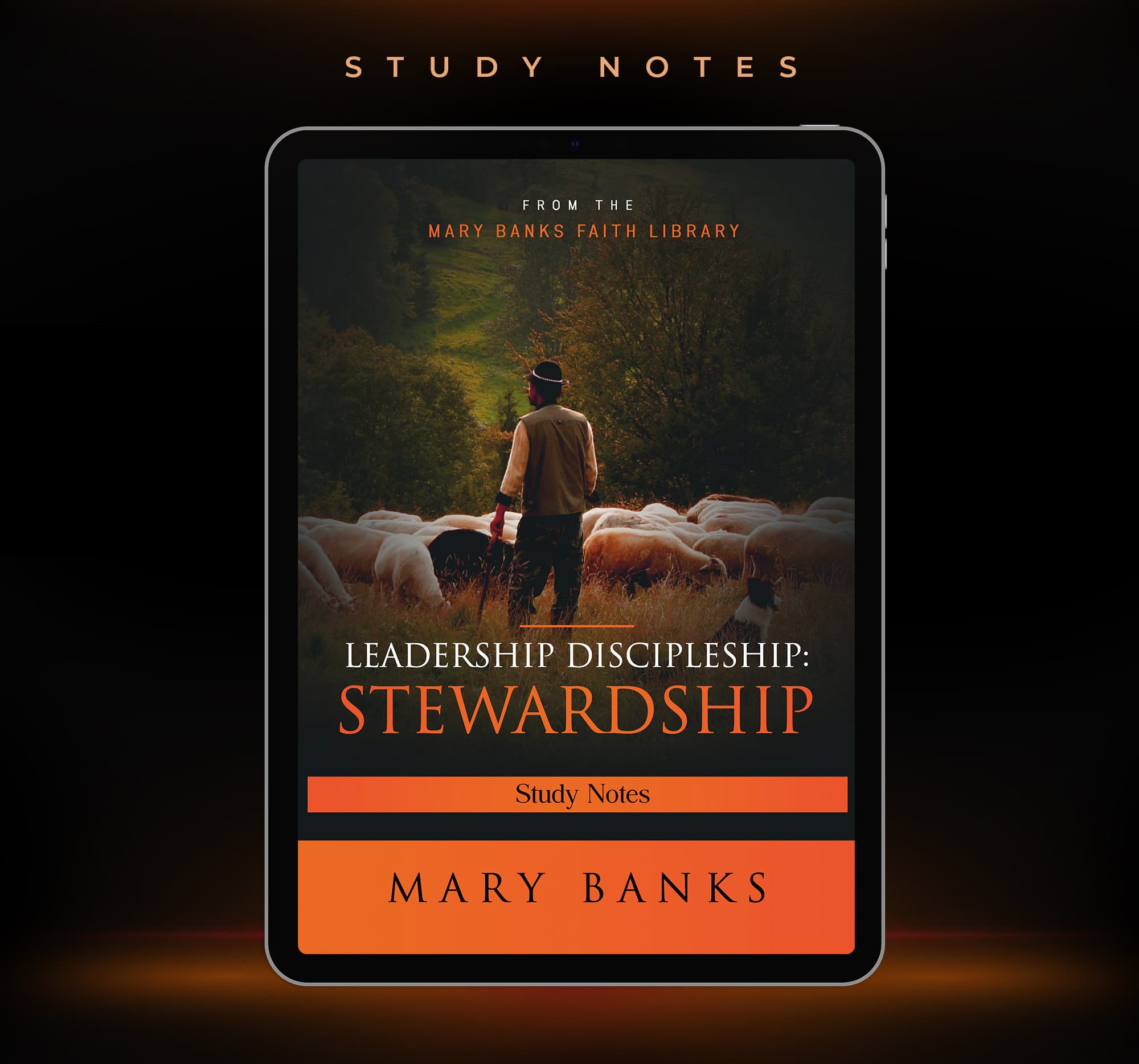 Leadership Discipleship - Stewardship