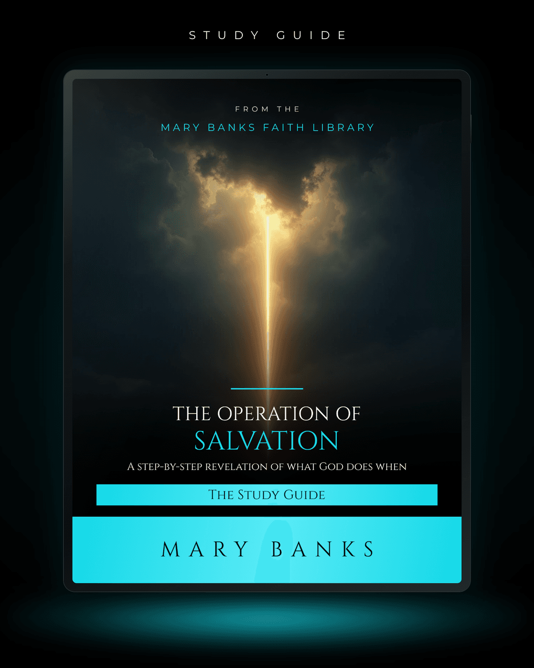 The Operation of Salvation: What God Does When You're Saved