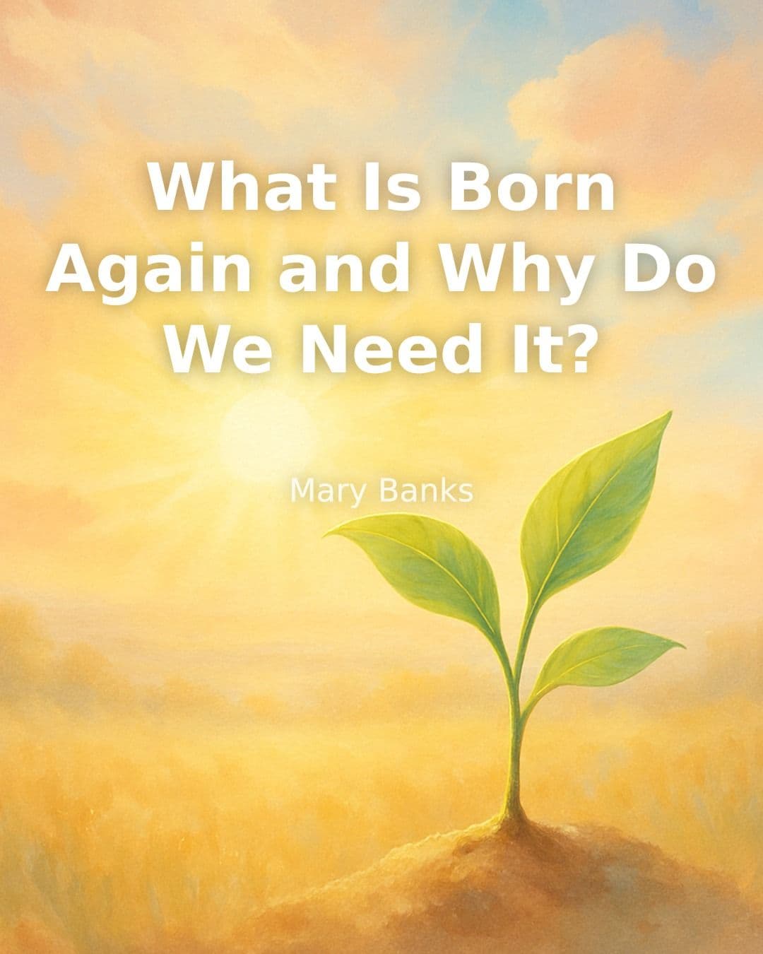 What Is Born Again and Why Do We Need It?